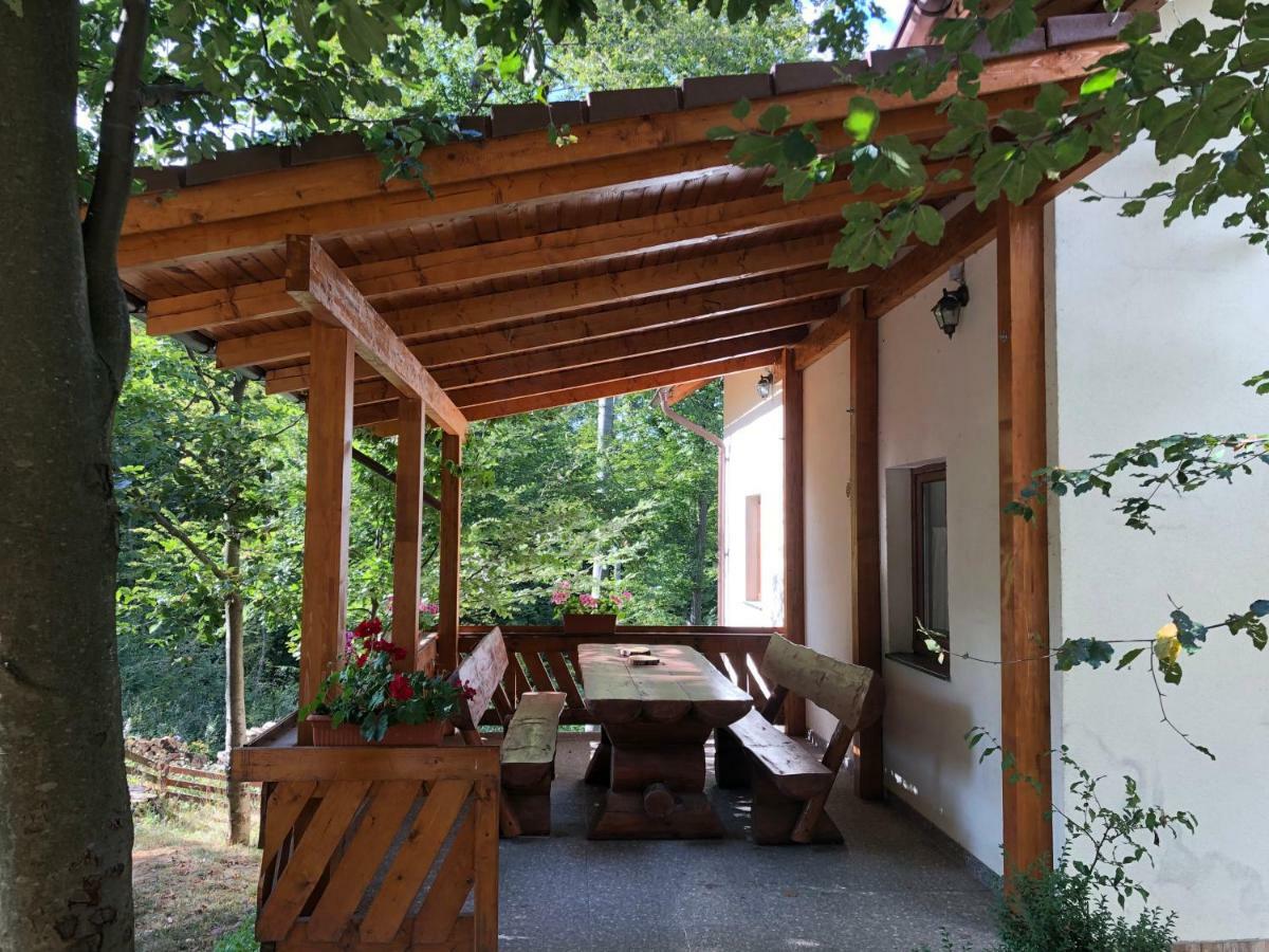 Casa De Vacanta Mogosa Бая-Сприе Экстерьер фото